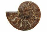 Cut & Polished, Agatized Ammonite Fossil - Madagascar #208603-2